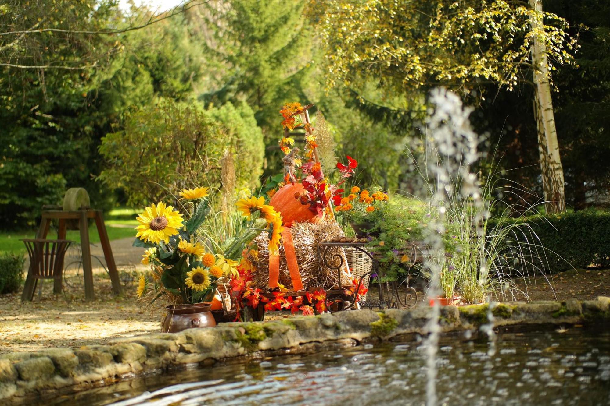 Harzer Feriengarten Quedlinburg Esterno foto