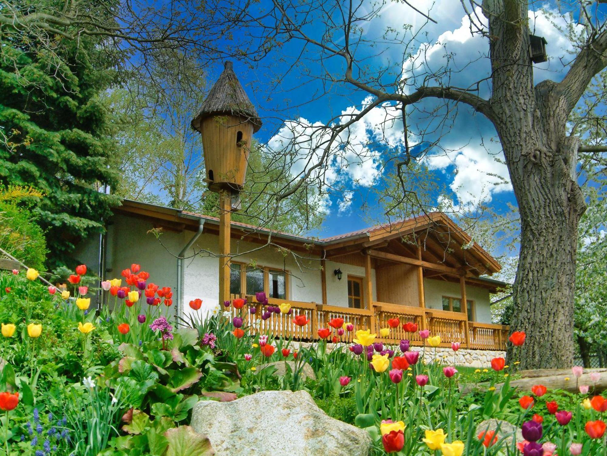 Harzer Feriengarten Quedlinburg Esterno foto